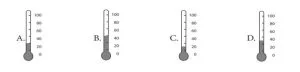 Measure the temperature of water