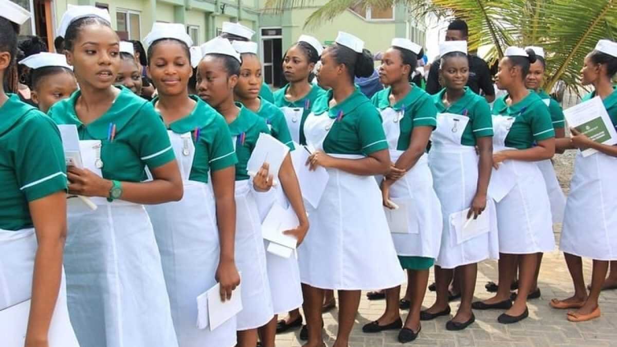 How To Buy 2024 Nursing Training Forms and Apply Online