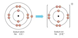difference in charge between a Sodium atom and a Sodium ion