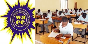 WAEC Government Mock 2026: See the Secret Areas Examiners Focus on for Section B (Theory)