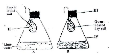 Question ON SOIL