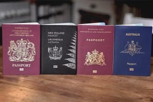 Types of Dutch Passports You Can Apply For