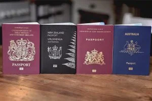 Types of Dutch Passports You Can Apply For