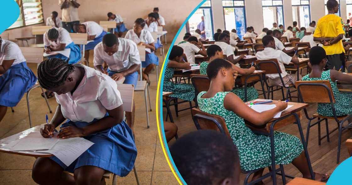 Sample WASSCE 2024 Crop Husbandry Practical Questions - Ghanaeducationnews.org