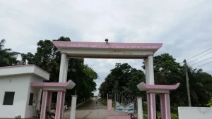 2024 School Selection: List Of Schools Approved For Cluster Selection